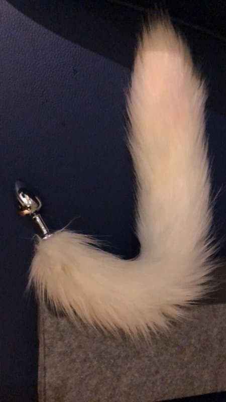 Temp 1747636031709 5fab84c9b60f3