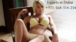 Temp 1747636586150 5fab84bbd72f2