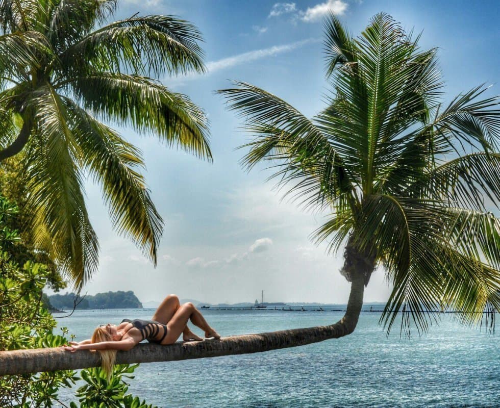 Temp 1747635777055 5fab84ade22f4