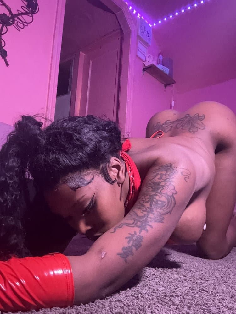 Cataleya La Reina - صورة مرافقة 3 في Dubai