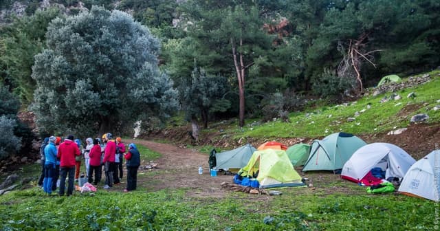 Temp 1747635683541 5fab85448f64b