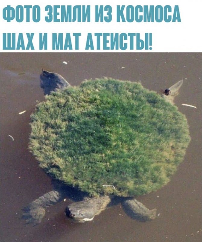 Temp 1747635661133 5fab853d9001e