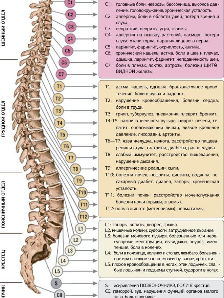 практикующая госпожа МАССАЖпростаты❤️ЭРО, рост: 180, вес: 60